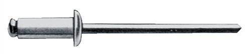 Blindniet Nietschaft dxl - 250 ST 