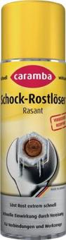 Schockrostlöser Rasant 250 - 258 L / 6 ST 