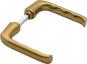morepic-1