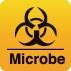 morepic-1