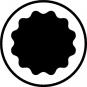 morepic-10