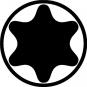 morepic-4