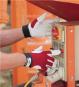 morepic-5