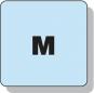 morepic-6